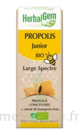 Herbalgem Propolis Large Spectre Solution Buvable Bio Junior Fl Cpte-gttes/15ml à VOGÜÉ